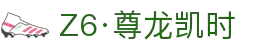 Z6·尊龙凯时「中国」官方网站